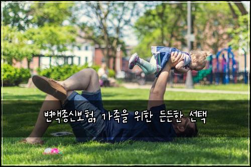 변액종신보험, 가족을 위한 든든한 선택