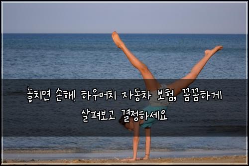  놓치면 손해! 하우머치 자동차 보험, 꼼꼼하게 살펴보고 결정하세요