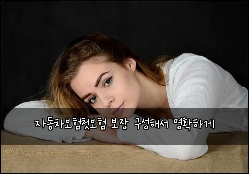 자동차보험첫보험 보장 구성해서 명확하게