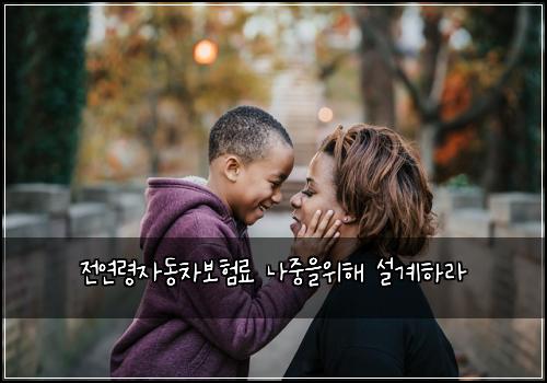 ์ ์ฐ๋ น์๋์ฐจ๋ณดํ๋ฃ ๋์ค์์ํด ์ค๊ณํ๋ผ