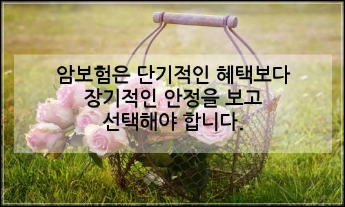 오늘의 이미지