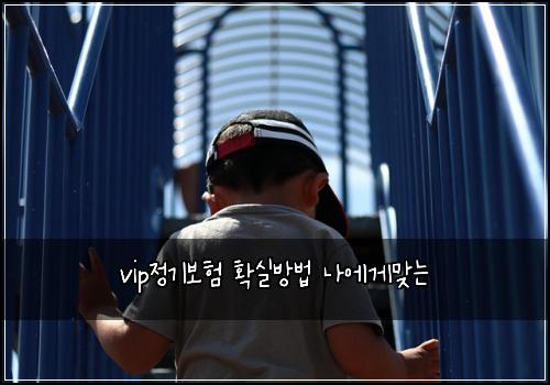 vip์ ๊ธฐ๋ณดํ ํ์ค๋ฐฉ๋ฒ ๋์๊ฒ๋ง๋