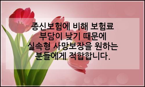 오늘의 이미지