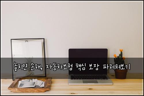  놓치면 손해, 자동차보험 핵심 보장 파헤쳐보기