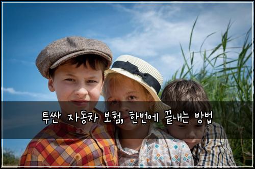투싼 자동차 보험, 한번에 끝내는 방법