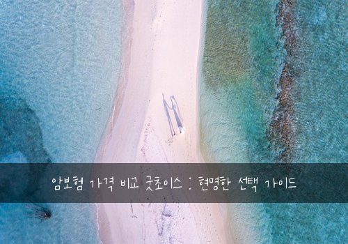 암보험 가격 비교 굿초이스 : 현명한 선택 가이드