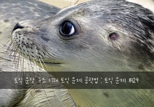 토익 문장 구조 이해 토익 문제 공략법 : 토익 문제 #124