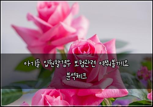 아기들 입원할경우 보험관련 여쭤볼께요 분석체크