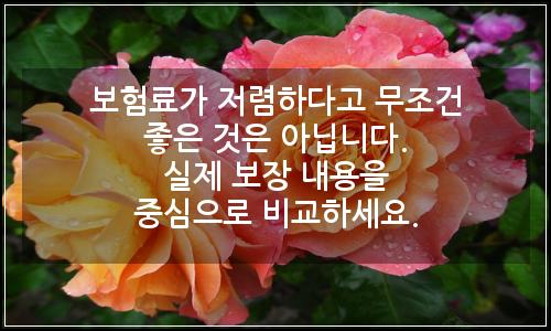 오늘의 이미지