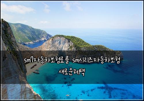 sm7μλ차보νλ£λ₯Ό smμ리μ¦μλ차보ν μλ‘μ΄νν
