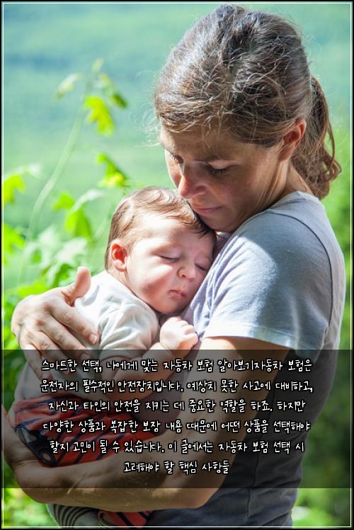  스마트한 선택, 나에게 맞는 자동차 보험 알아보기

자동차 보험은 운전자의 필수적인 안전장치입니다. 예상치 못한 사고에 대비하고, 자신과 타인의 안전을 지키는 데 중요한 역할을 하죠. 하지만 다양한 상품과 복잡한 보장 내용 때문에 어떤 상품을 선택해야 할지 고민이 될 수 있습니다. 이 글에서는 자동차 보험 선택 시 고려해야 할 핵심 사항들