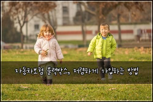 자동차보험 블랙박스, 저렴하게 가입하는 방법