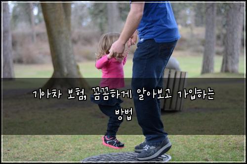 기아차 보험, 꼼꼼하게 알아보고 가입하는 방법
