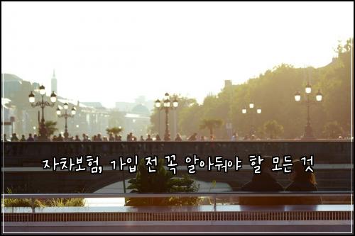 자차보험, 가입 전 꼭 알아둬야 할 모든 것