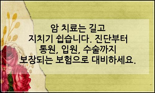 오늘의 이미지