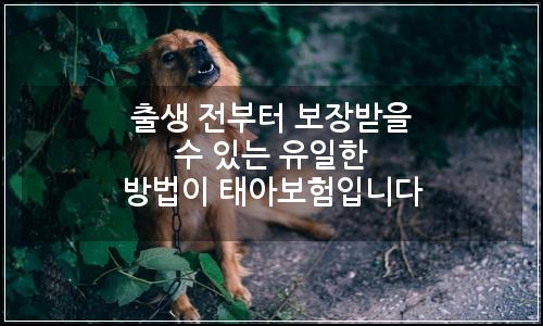 오늘의 이미지