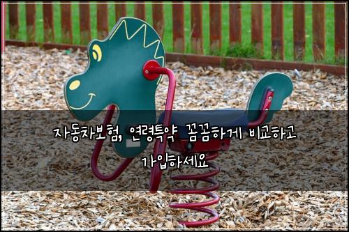 자동차보험, 연령특약 꼼꼼하게 비교하고 가입하세요