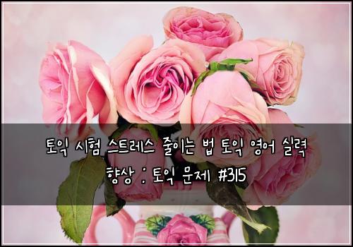 토익 시험 스트레스 줄이는 법 토익 영어 실력 향상 : 토익 문제 #315