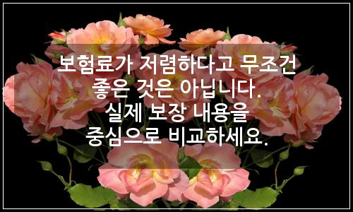 오늘의 이미지
