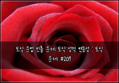 ํ ์ต ๋ฌธ๋ฒ ๋น์ถ ๋ฌธ์ ํ ์ต ์ฑ์ ๋ณ๋์ฑ : ํ ์ต ๋ฌธ์ #209