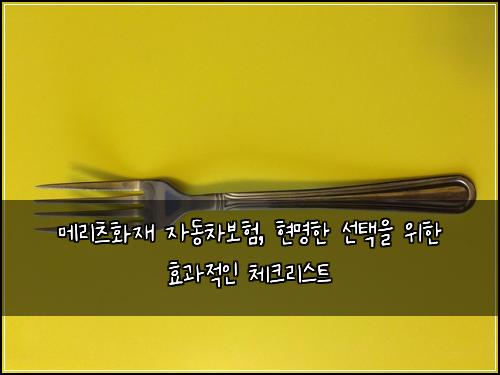 메리츠화재 자동차보험, 현명한 선택을 위한 효과적인 체크리스트