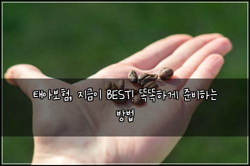 태아보험, 지금이 BEST! 똑똑하게 준비하는 방법