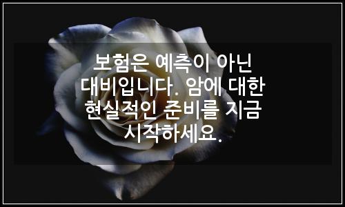 오늘의 이미지