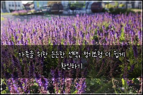  가족을 위한 든든한 선택, 정기보험 더 쉽게 확인하기