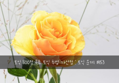 토익 800점 목표 토익 취업 가산점 : 토익 문제 #153