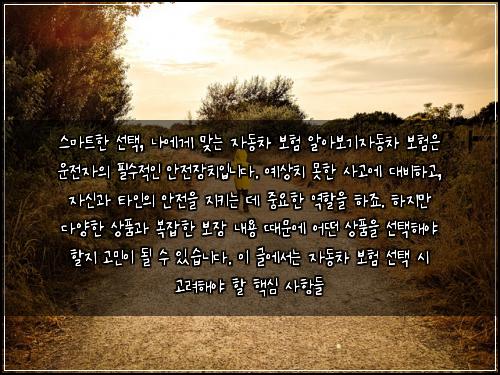  스마트한 선택, 나에게 맞는 자동차 보험 알아보기

자동차 보험은 운전자의 필수적인 안전장치입니다. 예상치 못한 사고에 대비하고, 자신과 타인의 안전을 지키는 데 중요한 역할을 하죠. 하지만 다양한 상품과 복잡한 보장 내용 때문에 어떤 상품을 선택해야 할지 고민이 될 수 있습니다. 이 글에서는 자동차 보험 선택 시 고려해야 할 핵심 사항들