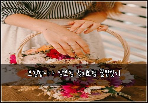 보험합니다 암보험 정기보험 꿀팁찾기