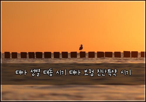 νμ μ±λ³ νλ μκΈ° νμ 보ν μ§λ¨νΉμ½ μκΈ°