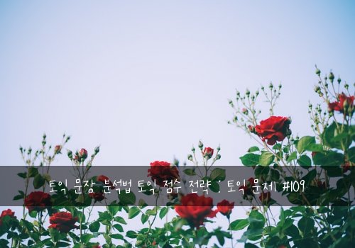 토익 문장 분석법 토익 점수 전략 : 토익 문제 #109