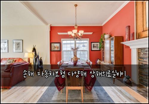 손해 자동차보험 다양해  상해의료실비이