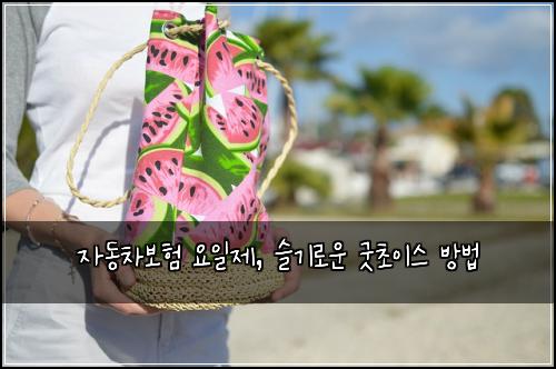 자동차보험 요일제, 슬기로운 굿초이스 방법