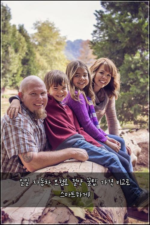 일일 자동차 보험료 절약 꿀팁: 가격 비교로 스마트하게!