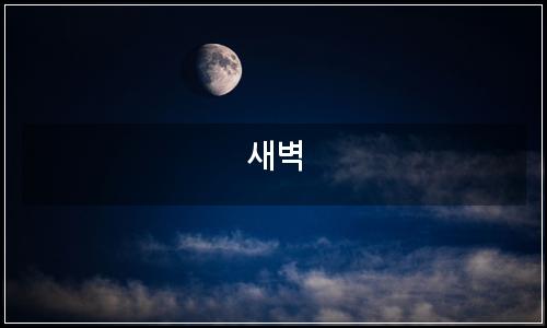 오늘의 이미지
