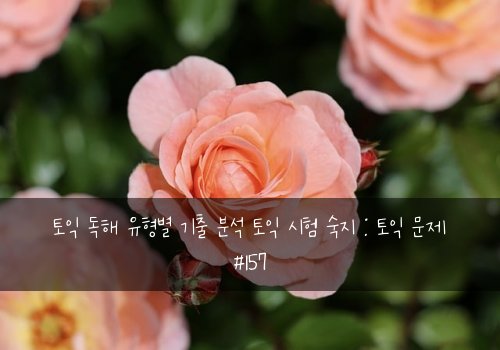 토익 독해 유형별 기출 분석 토익 시험 숙지 : 토익 문제 #157