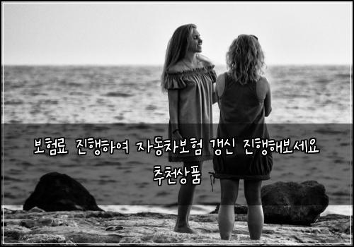 ๋ณดํ๋ฃ ์งํํ์ฌ ์๋์ฐจ๋ณดํ ๊ฐฑ์ ์งํํด๋ณด์ธ์ ์ถ์ฒ์ํ