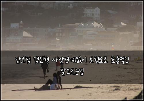 암보험 갱신형 사망연계없이 보험료로 효율적인 잘고르는법