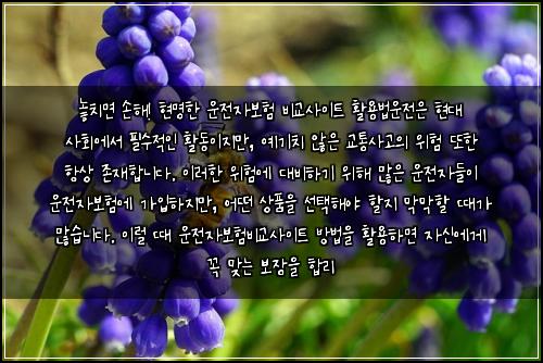  놓치면 손해! 현명한 운전자보험 비교사이트 활용법

운전은 현대 사회에서 필수적인 활동이지만, 예기치 않은 교통사고의 위험 또한 항상 존재합니다. 이러한 위험에 대비하기 위해 많은 운전자들이 운전자보험에 가입하지만, 어떤 상품을 선택해야 할지 막막할 때가 많습니다. 이럴 때 운전자보험비교사이트 방법을 활용하면 자신에게 꼭 맞는 보장을 합리