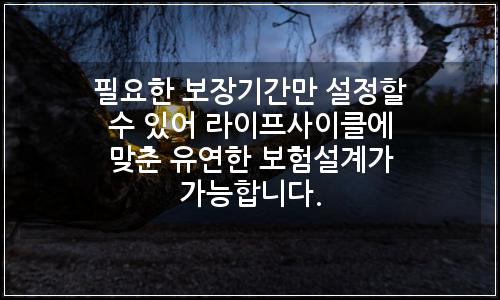 오늘의 이미지
