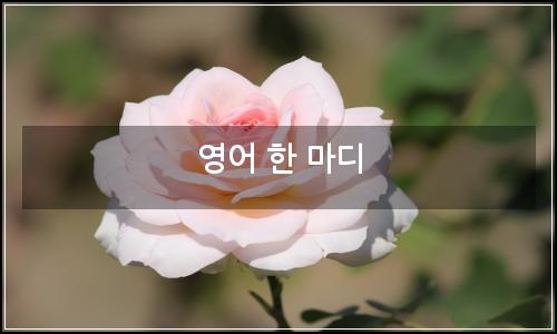 오늘의 이미지