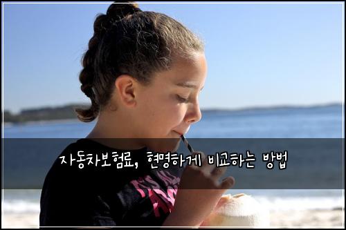 자동차보험료, 현명하게 비교하는 방법