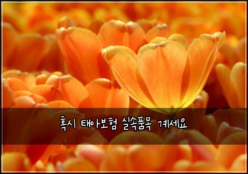 혹시 태아보험 실속품목  계세요