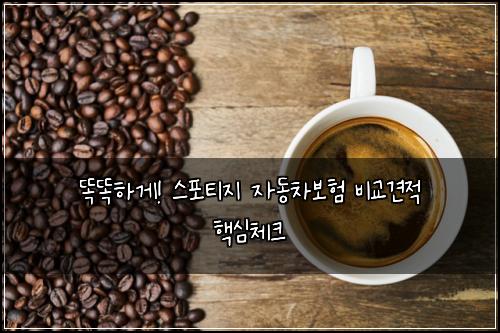  똑똑하게! 스포티지 자동차보험 비교견적 핵심체크