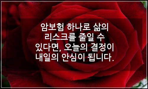 오늘의 이미지