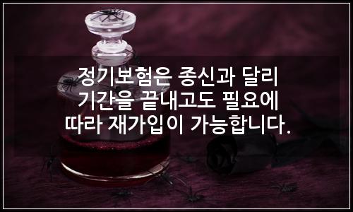 오늘의 이미지