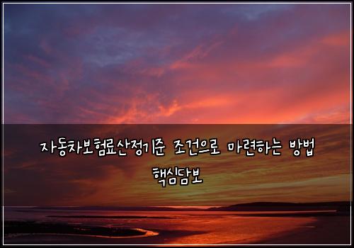 자동차보험료산정기준 조건으로 마련하는 방법 핵심담보