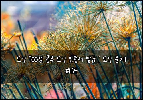 토익 700점 공부 토익 인증서 발급 : 토익 문제 #164
